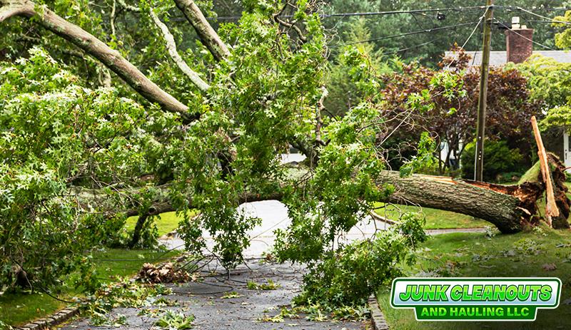 Disaster Cleanup Services in Columbia,Lewisburg, Fayetteville, Tennessee